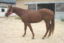 ���긶�� (SEONGSAN MARU) ����