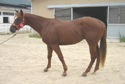 ���긶�� ����