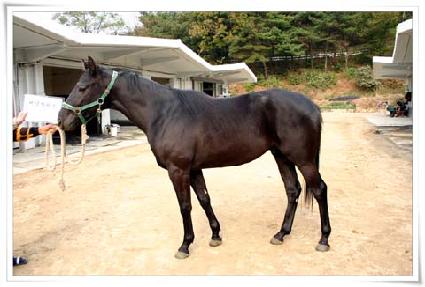 ���׺����� ����