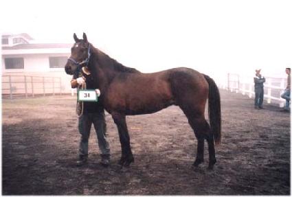 ��︲���� ����