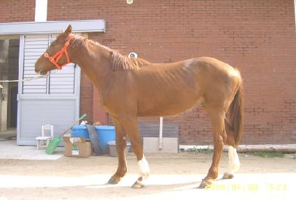 ������������ ����