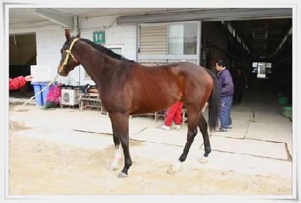 ��Ʈ���� ����