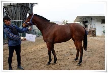 ���̿� ����