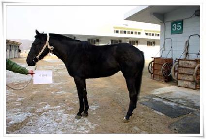 ���ܸ� ����