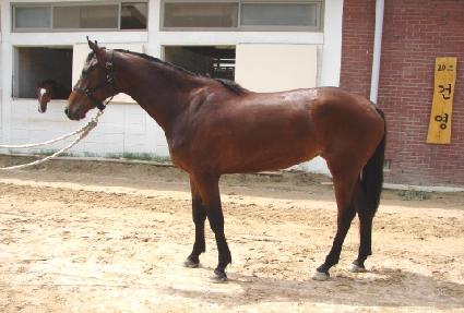 �ݳ�ȭ ����