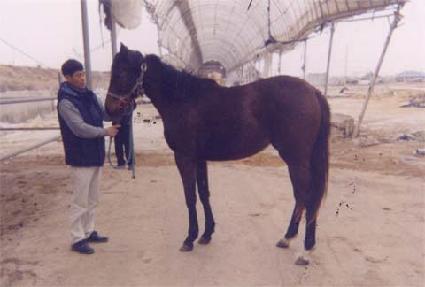 �������� ����