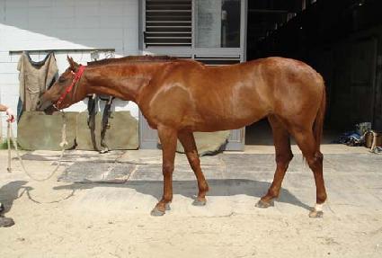 �Ϸ���ȭ ����