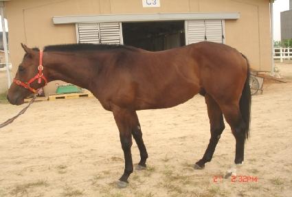 �����ְ� ����