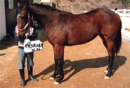 ���ǵ�� ����