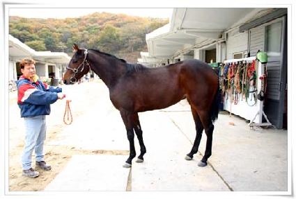 �޸��������� ����