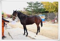 ��ġ�������� (REACH PRINCESS) ����