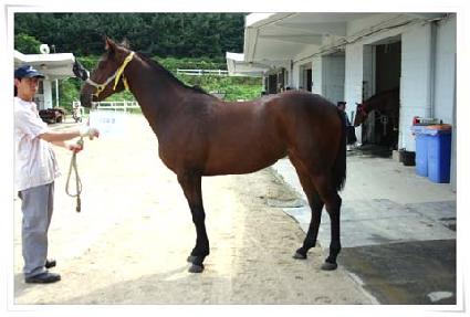 ��¥ȥ ����