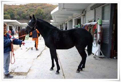 ������������ ����