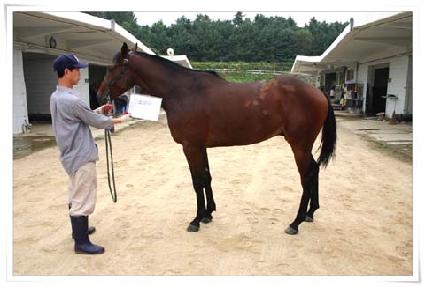 �Ҹ��� ����