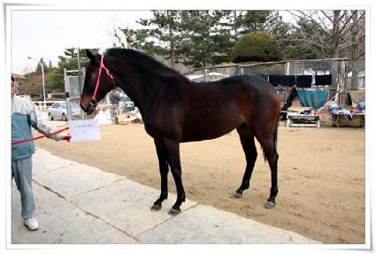 ����Ⱥ��丮 ����