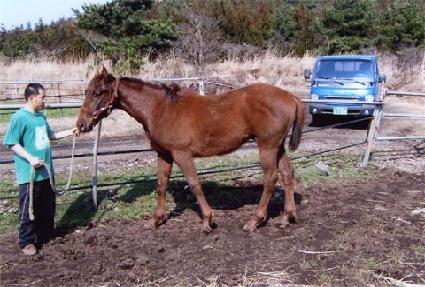 �ٶ��ǾƵ� ����