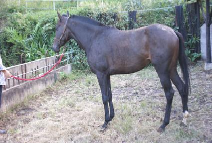 �߿����� ����