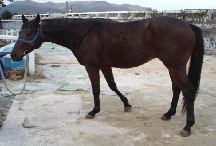 Ȱ������ ����