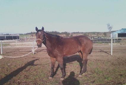 �������Ʈ ����