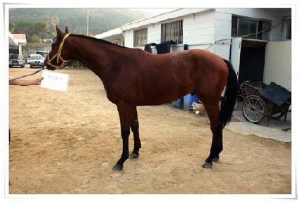 ����è�� ����