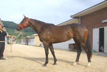 ��̳����� ����