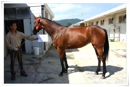 �ع̸� ����