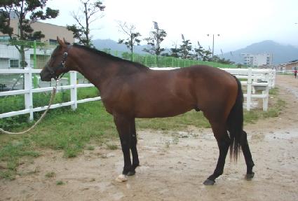 �ʽº�ȭ ����