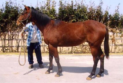 �ϵ�â�� ����