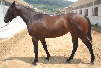 �޲ٴ� ����