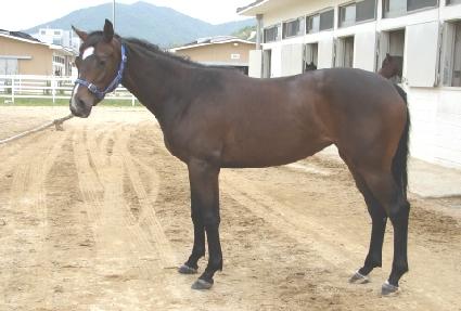 ����� ����