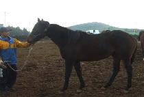 ���� (SANBANGDEOK) ����