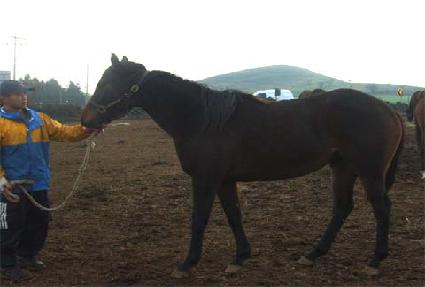 ���� ����