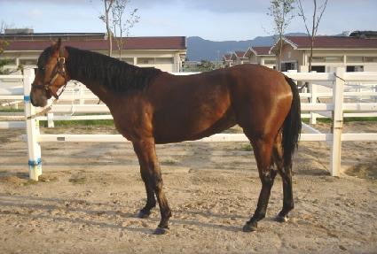 ��� ����