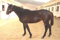 �������� (EUNHYE BOEUN) ����