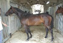 ���ε� (SANBANG ROAD) ����