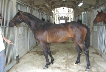 ���ε� ����