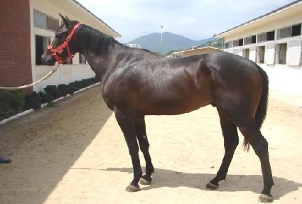 �����־� ����