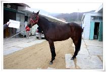 ��ǳ���� (TAEPUNGCHUKJE) ����