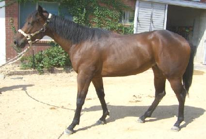 ����� ����