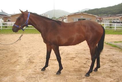 ���̶��̵� ����