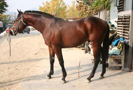 �۽�Ʈ�� ����