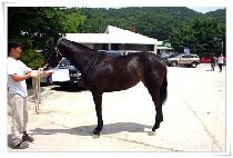 �������� (GEOPO GUNDAN) ����