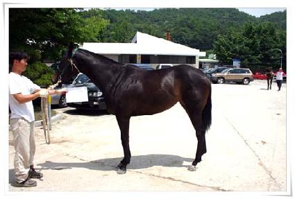 �������� ����