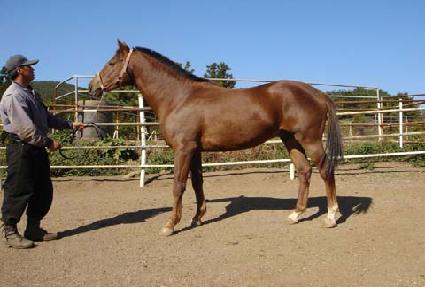 ŷ���� ����