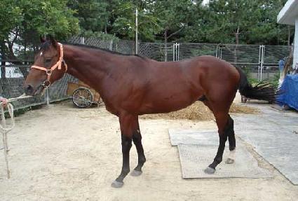 ȯ���� ����