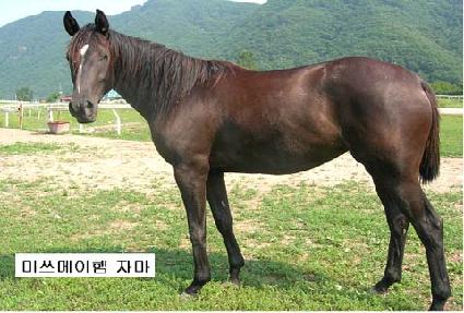 �ַհ��� ����