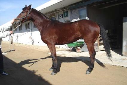 �ź�� ����