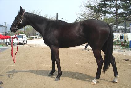 ��ġŷ ����