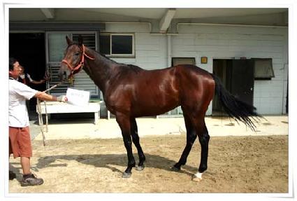 ���̽��� ����