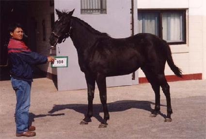 �帮�� ����